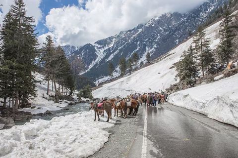Kashmir Travel Guide: Scenic Landscapes, Luxury Stays & Top Destinations